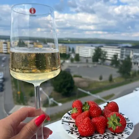 Penthouse In The Center *